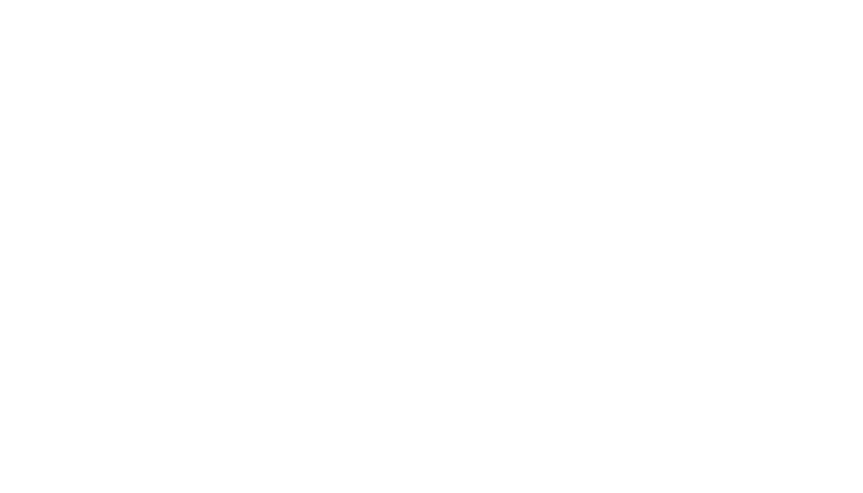 garage door rocket logo
